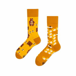 Ponožky Many Mornings Honey Bear, vel. 43–46