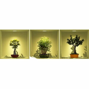 Sada 3 samolepek s 3D efektem Ambiance Bonsai Trees On Spot