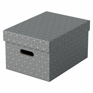 Sada 3 šedých úložných boxů Esselte Home, 26,5 x 36,5 cm