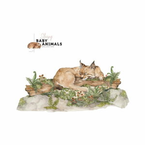 Nástěnná samolepka Dekornik My Little Wild Cat, 160 x 75 cm