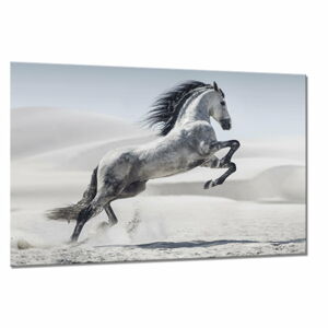 Obraz Styler Glasspik Glasspik Animals Horse, 80 x 120 cm