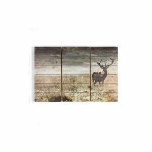 Vícedílný dřevěný obraz Graham & Brown Highland Stag