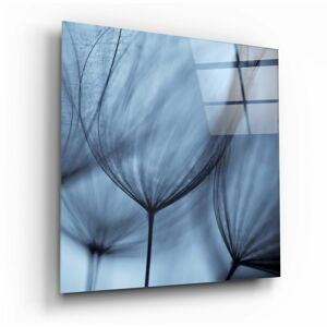 Skleněný obraz Insigne Dandelion Serenity, 40 x 40 cm