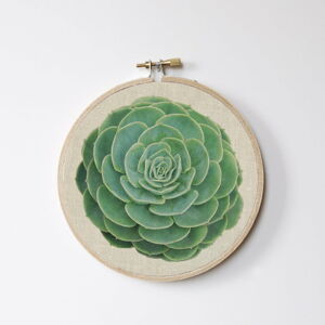 Nástěnná dekorace Surdic Stitch Hoop Suculenta, ⌀ 27 cm