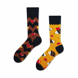 Ponožky Many Mornings Apple Hedgehog, vel. 35–38