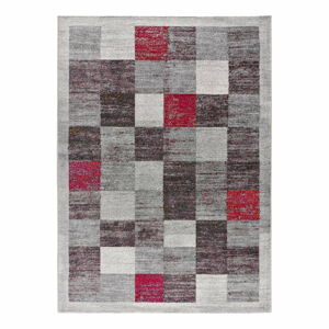 Červeno-šedý koberec 160x230 cm Sheki – Universal