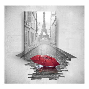 Nástěnný 3D obraz Mosticx Red Umbrella In Paris, 40 x 60 cm