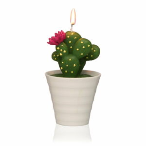 Dekorativní svíčka ve tvaru kaktusu Versa Cactus Paol