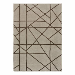 Světle hnědý koberec 120x170 cm Lux – Universal