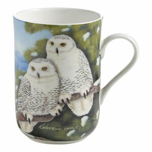 Hrnek z kostního porcelánu Maxwell & Williams Birds Owls, 330 ml