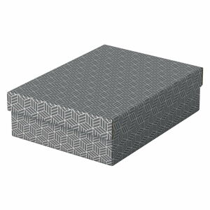 Sada 3 šedých úložných boxů Esselte Home, 26,5 x 36 cm