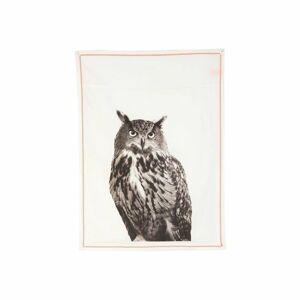 Kuchyňská utěrka Plain White Owl, 50x70 cm
