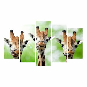 Vícedílný obraz na plátně Animal Giraffe