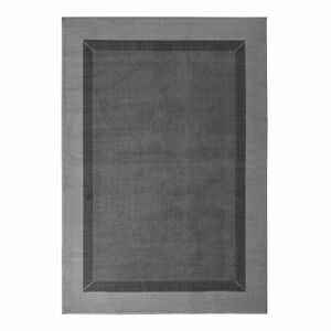 Šedý koberec Hanse Home Basic, 200 x 290 cm