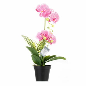 Umělá květina (výška 55 cm) Orchid – AmeliaHome