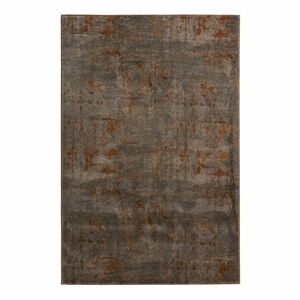 Hnědý koberec Mint Rugs Golden Gate, 160 x 240 cm