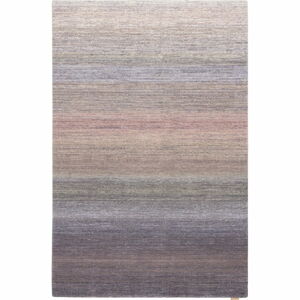 Vlněný koberec 170x240 cm Aiko – Agnella